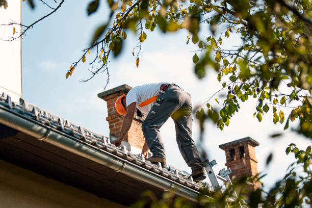 Best Storm Damage Roof Repair  in Covington, VA